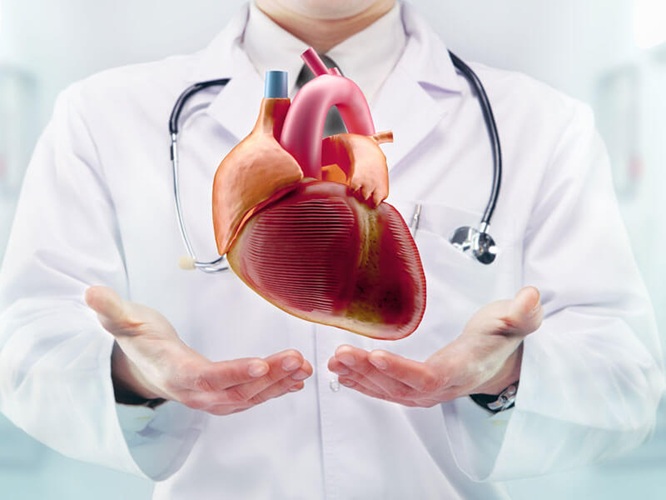 Best Cardiology Treatment in Ranchi - Surgimax Hospital